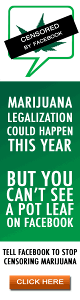 Just Say Now