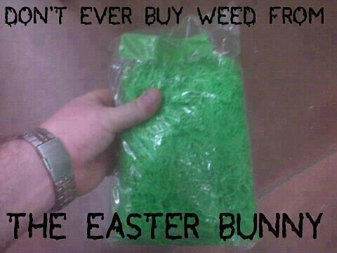 Easter Bunny Weed